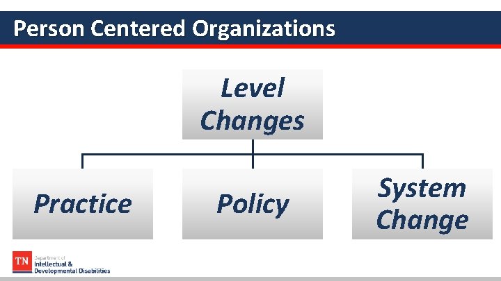 Person Centered Organizations Level Changes Practice Policy System Change 