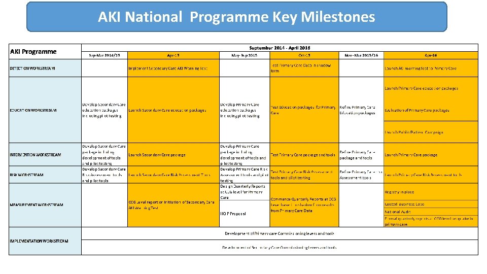 AKI National Programme Key Milestones 