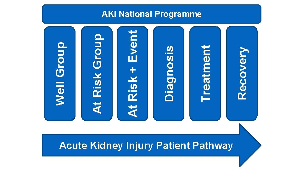 Acute Kidney Injury Patient Pathway Recovery Treatment Diagnosis At Risk + Event At Risk