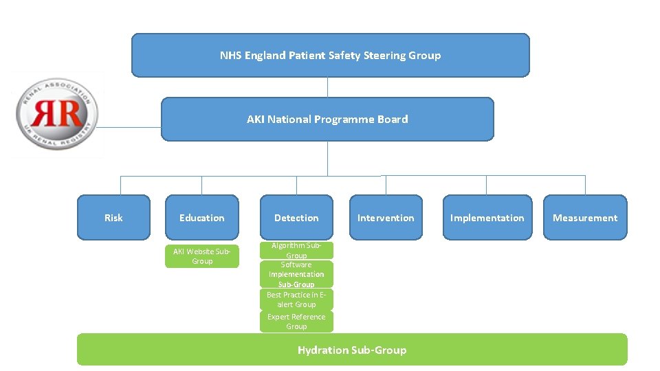 NHS England Patient Safety Steering Group AKI National Programme Board Risk Education AKI Website