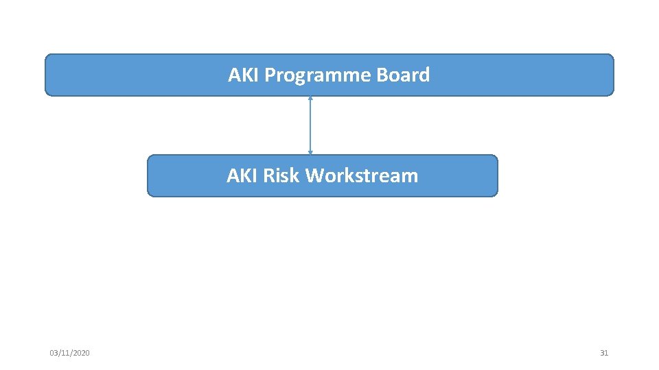 AKI Programme Board AKI Risk Workstream 03/11/2020 31 