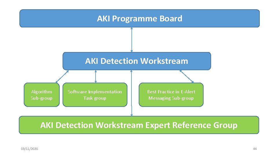 AKI Programme Board AKI Detection Workstream Algorithm Sub-group Software Implementation Task group Best Practice