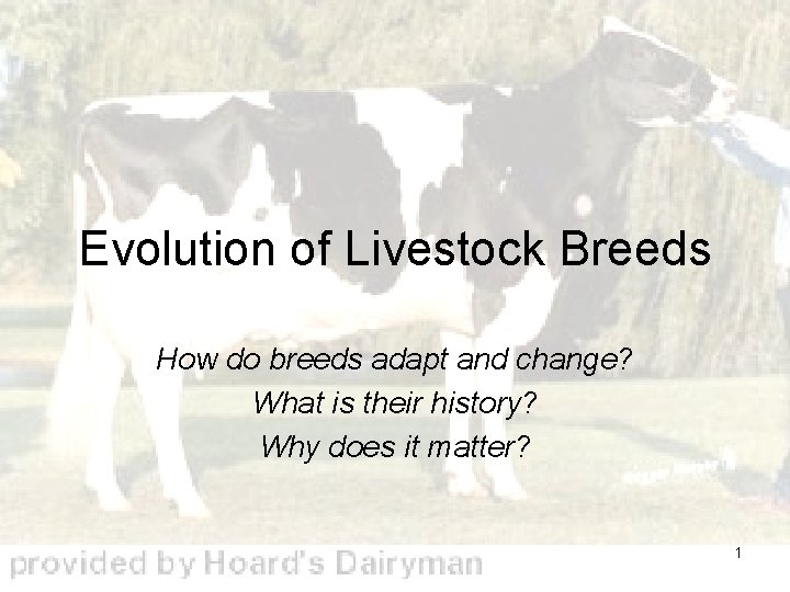 Evolution of Livestock Breeds How do breeds adapt and change? What is their history?