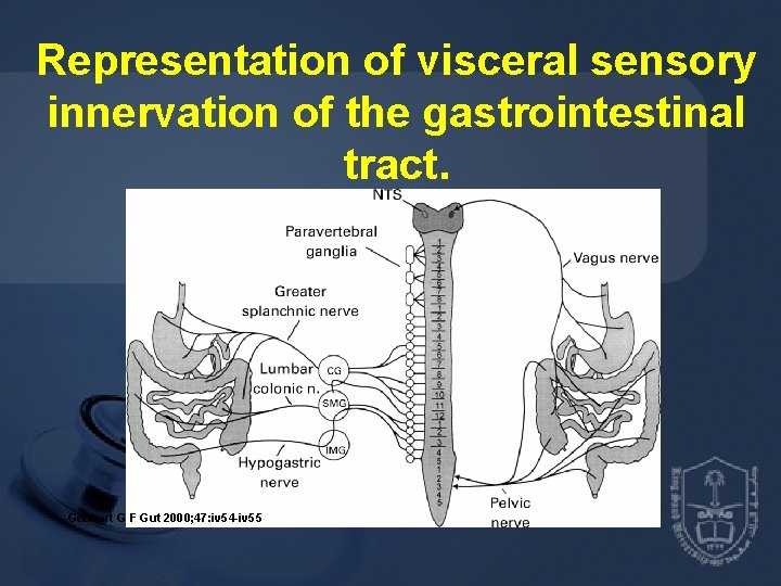 Representation of visceral sensory innervation of the gastrointestinal tract. Gebhart G F Gut 2000;