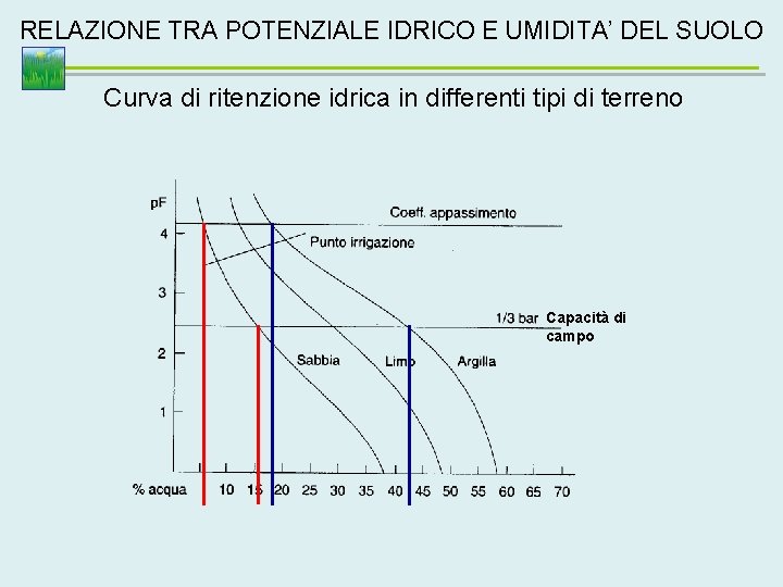 RELAZIONE TRA POTENZIALE IDRICO E UMIDITA’ DEL SUOLO Curva di ritenzione idrica in differenti