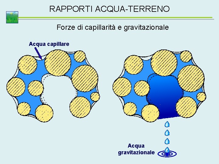 RAPPORTI ACQUA-TERRENO Forze di capillarità e gravitazionale Acqua capillare Acqua gravitazionale 