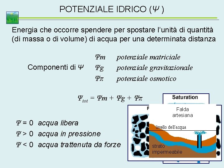 POTENZIALE IDRICO (Ψ ) Energia che occorre spendere per spostare l’unità di quantità (di