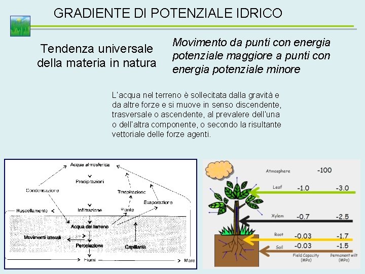 GRADIENTE DI POTENZIALE IDRICO Tendenza universale della materia in natura Movimento da punti con