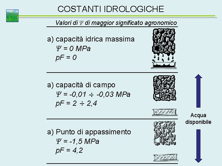 COSTANTI IDROLOGICHE Valori di Ψ di maggior significato agronomico a) capacità idrica massima Ψ