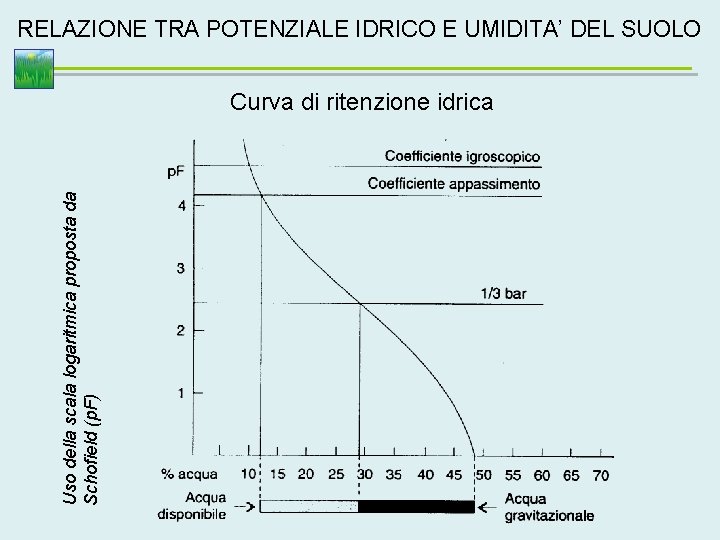 RELAZIONE TRA POTENZIALE IDRICO E UMIDITA’ DEL SUOLO Uso della scala logaritmica proposta da