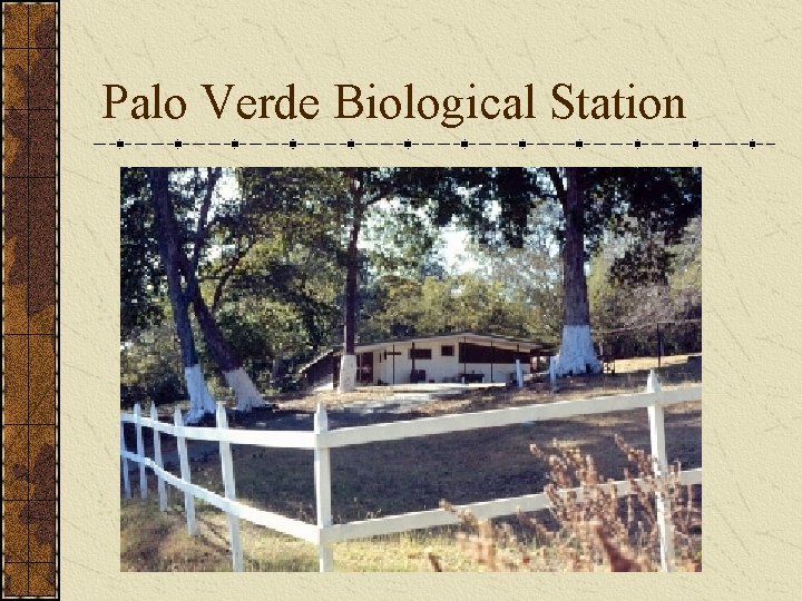 Palo Verde Biological Station 