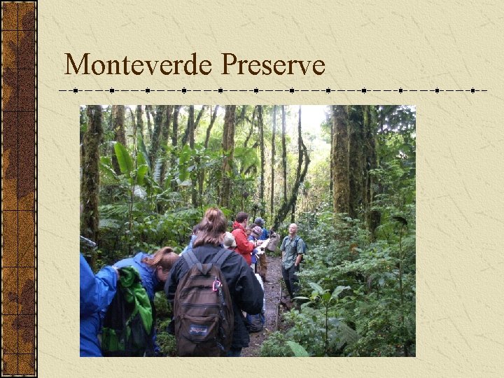 Monteverde Preserve 