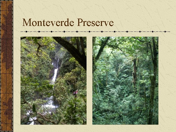 Monteverde Preserve 