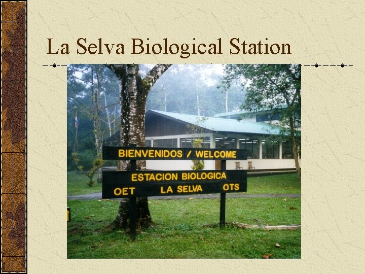 La Selva Biological Station 