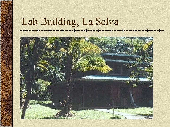 Lab Building, La Selva 