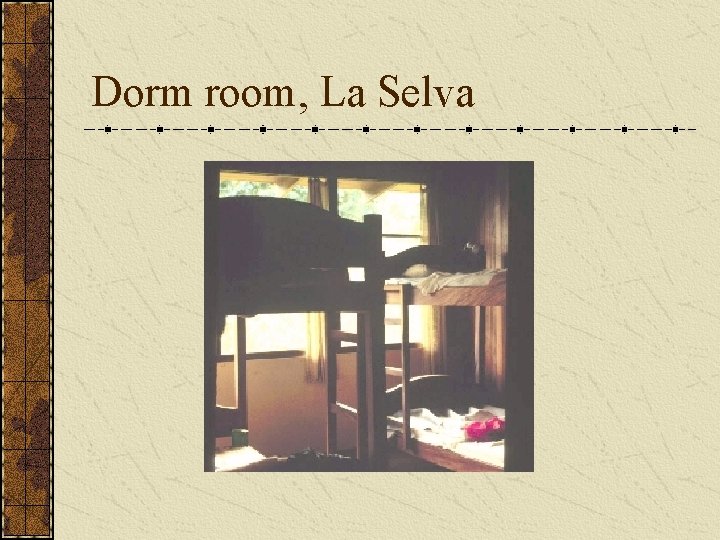 Dorm room, La Selva 