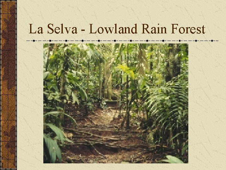 La Selva - Lowland Rain Forest 