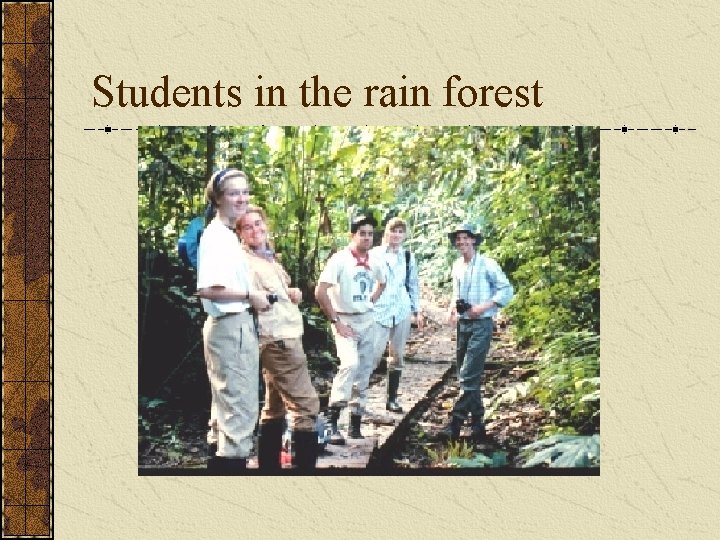 Students in the rain forest 