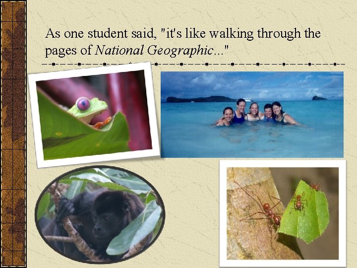As one student said, "it's like walking through the pages of National Geographic. .