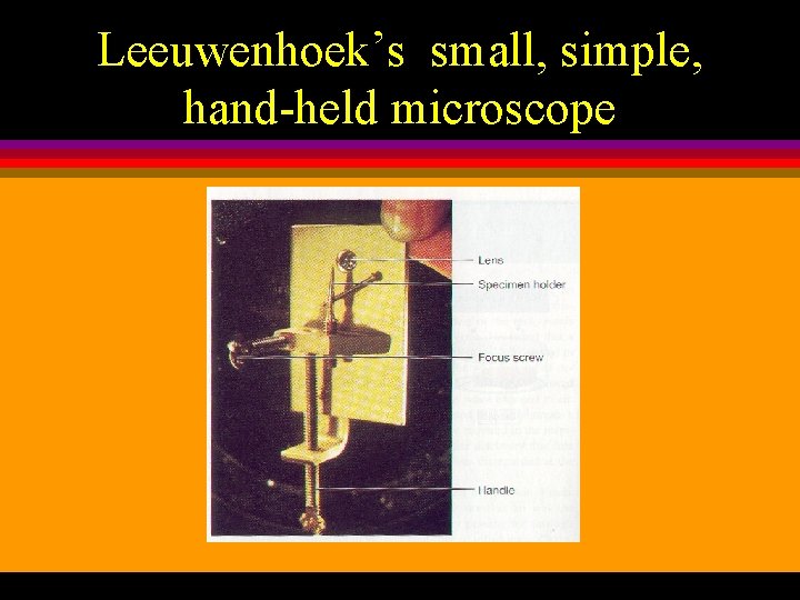 Leeuwenhoek’s small, simple, hand-held microscope 