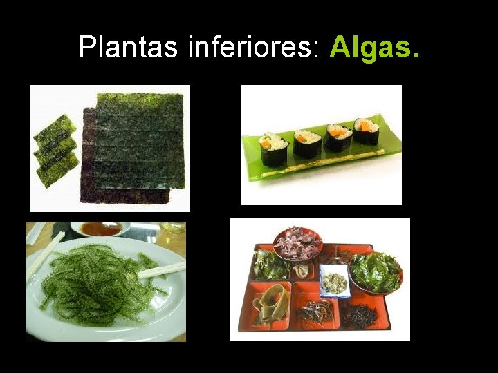 Plantas inferiores: Algas. 