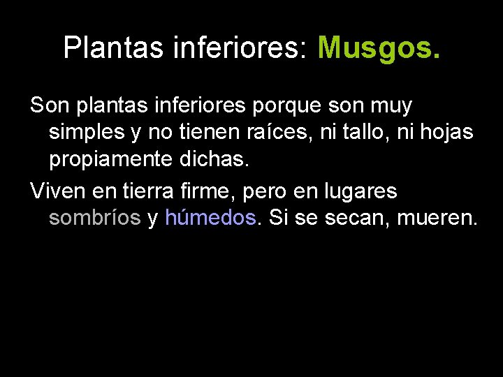 Plantas inferiores: Musgos. Son plantas inferiores porque son muy simples y no tienen raíces,