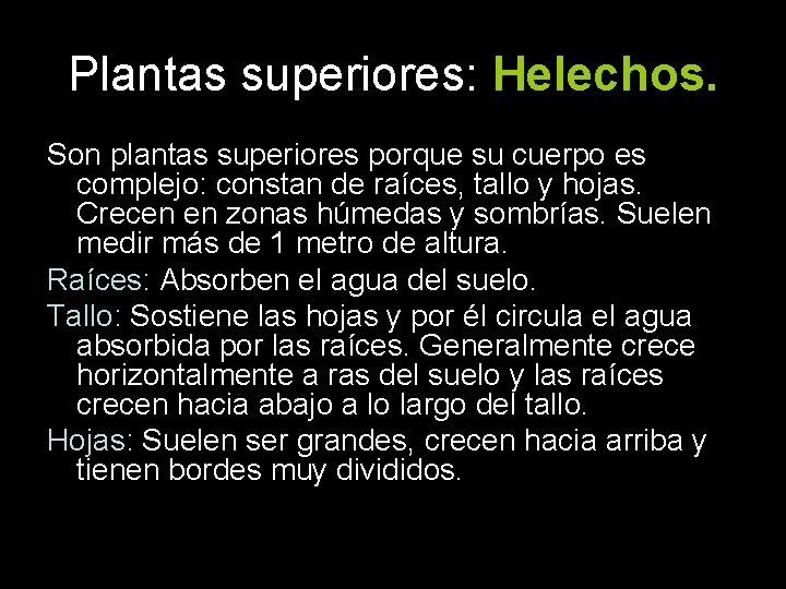 Plantas superiores: Helechos. Son plantas superiores porque su cuerpo es complejo: constan de raíces,