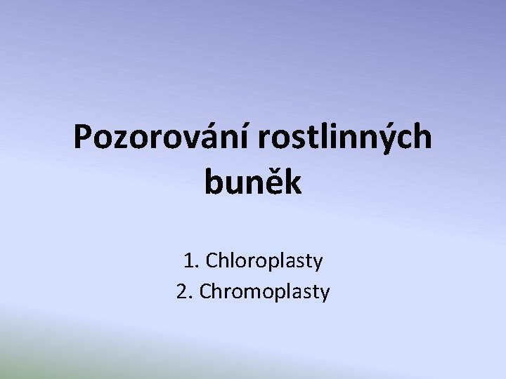 Pozorování rostlinných buněk 1. Chloroplasty 2. Chromoplasty 