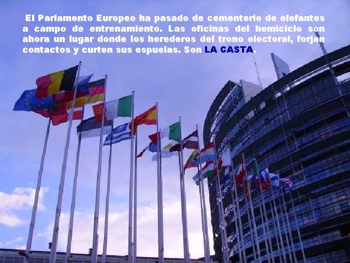 El Parlamento Europeo ha pasado de cementerio de elefantes a campo de entrenamiento. Las