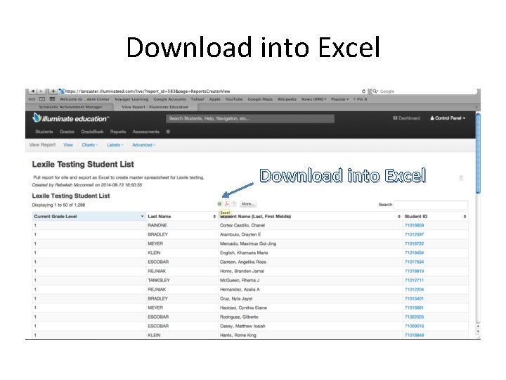 Download into Excel 