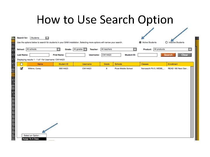 How to Use Search Option 