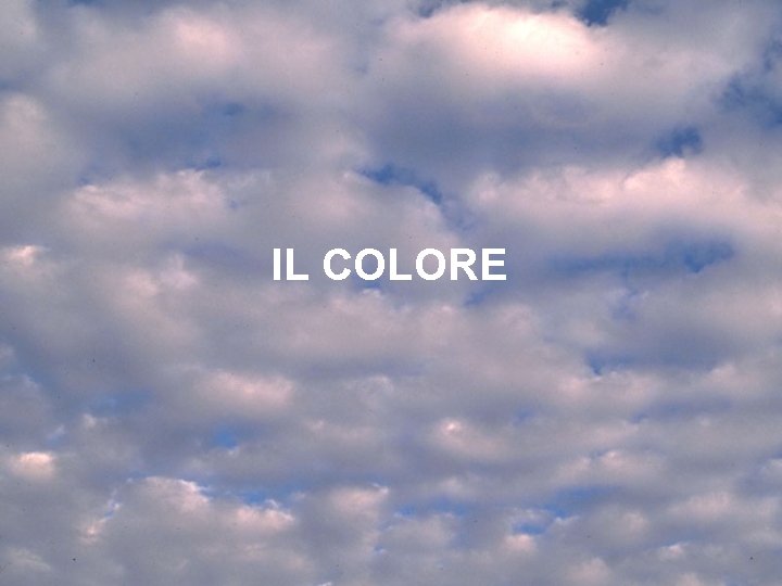IL COLORE 