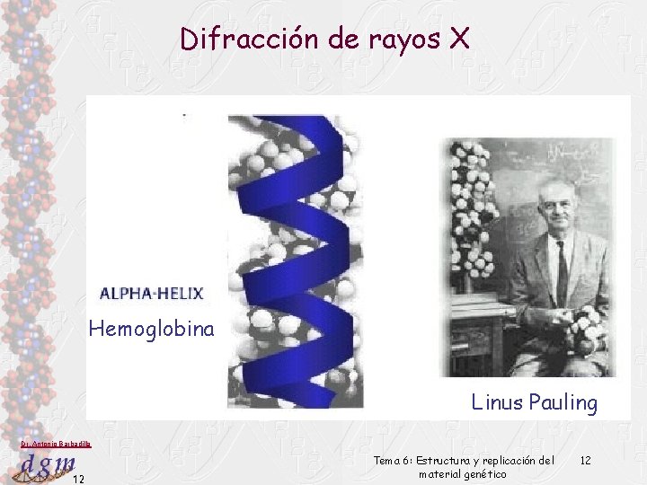 Difracción de rayos X Hemoglobina Linus Pauling Dr. Antonio Barbadilla 12 Tema 6: Estructura