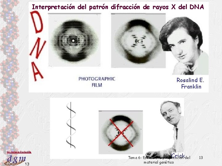 Interpretación del patrón difracción de rayos X del DNA Rosalind E. Franklin Dr. Antonio