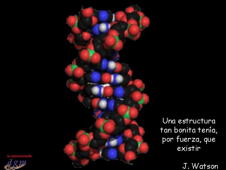 Una estructura tan bonita tenía, por fuerza, que existir Dr. Antonio Barbadilla 24 Tema