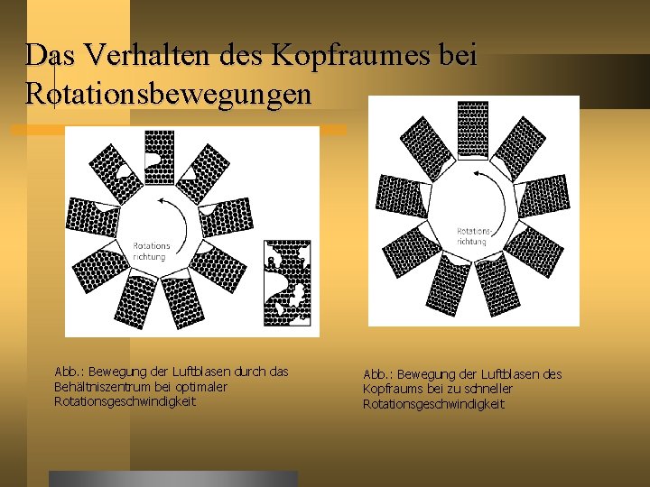 Das Verhalten des Kopfraumes bei Rotationsbewegungen Abb. : Bewegung der Luftblasen durch das Behältniszentrum