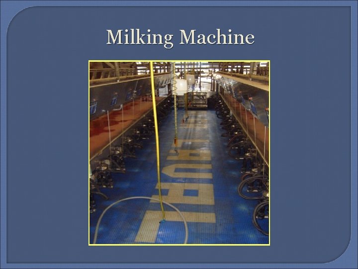 Milking Machine 