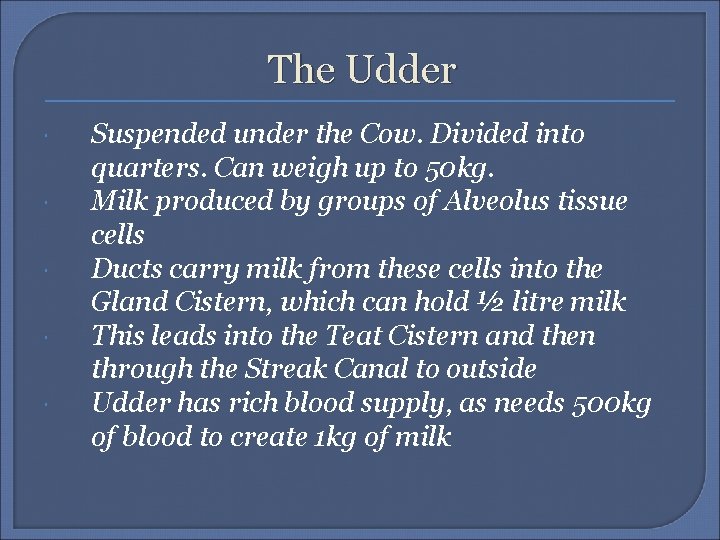 The Udder Suspended under the Cow. Divided into quarters. Can weigh up to 50