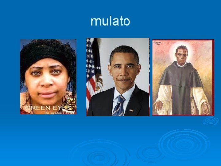 mulato 