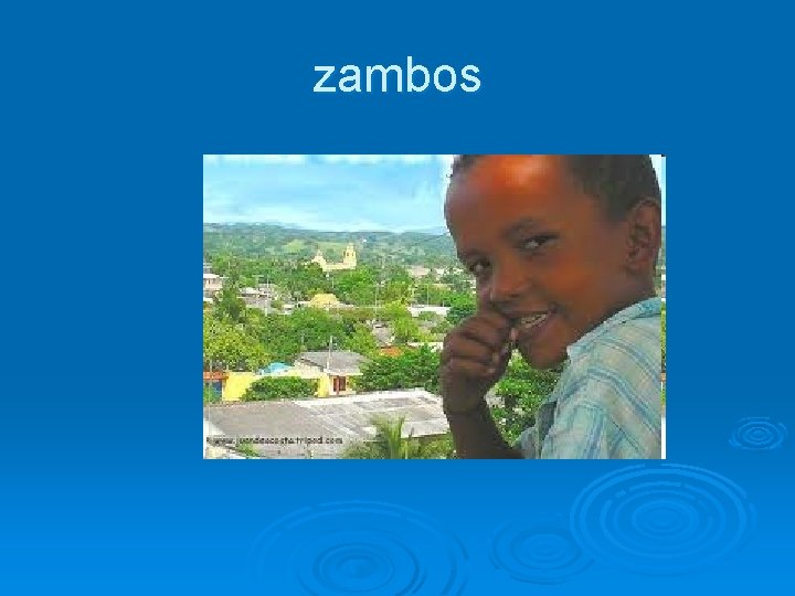 zambos 