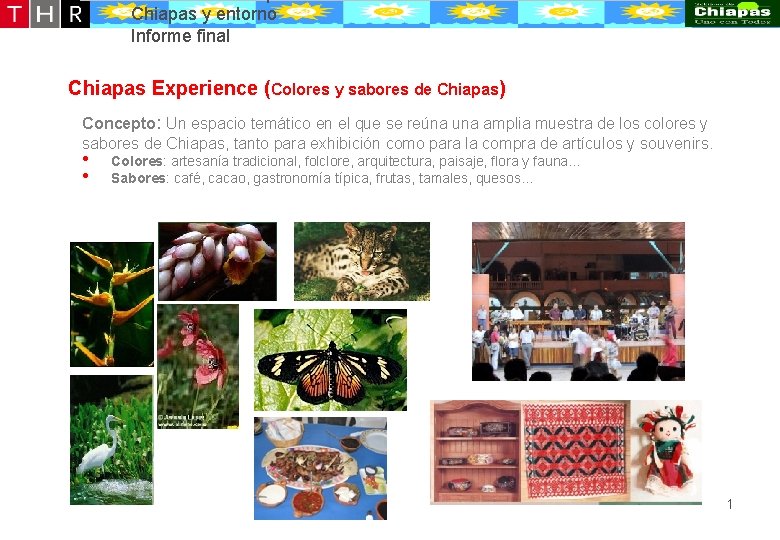 Desarrollo conceptual de la oferta turístico-recreativa de Puerto Chiapas y entorno Informe final Chiapas Desarrollo conceptual de la oferta turístico-recreativa de Puerto Chiapas y entorno Informe final Chiapas