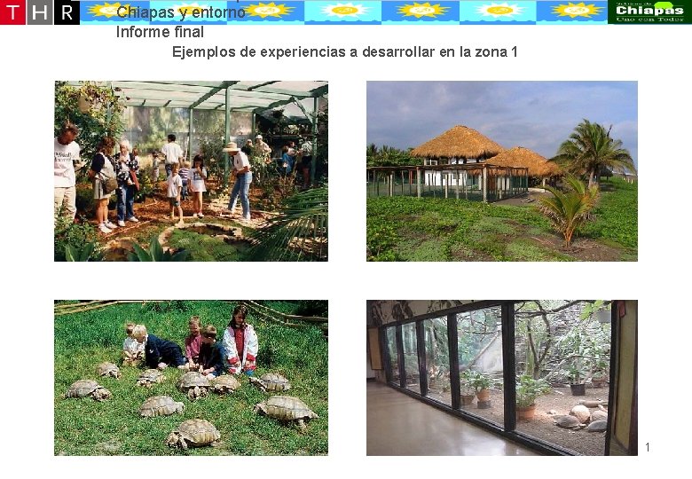 Desarrollo conceptual de la oferta turístico-recreativa de Puerto Chiapas y entorno Informe final Ejemplos Desarrollo conceptual de la oferta turístico-recreativa de Puerto Chiapas y entorno Informe final Ejemplos