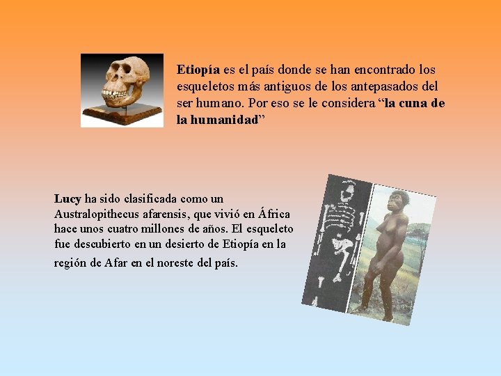 Etiopía es el país donde se han encontrado los esqueletos más antiguos de los