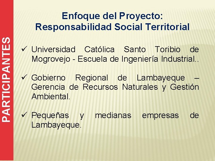 PARTICIPANTES Enfoque del Proyecto: Responsabilidad Social Territorial ü Universidad Católica Santo Toribio de Mogrovejo