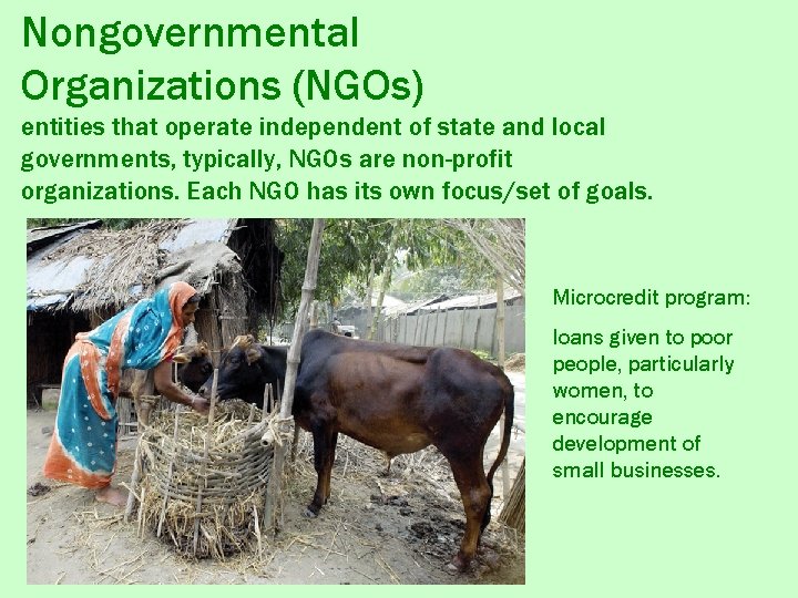 Nongovernmental Organizations (NGOs) entities that operate independent of state and local governments, typically, NGOs