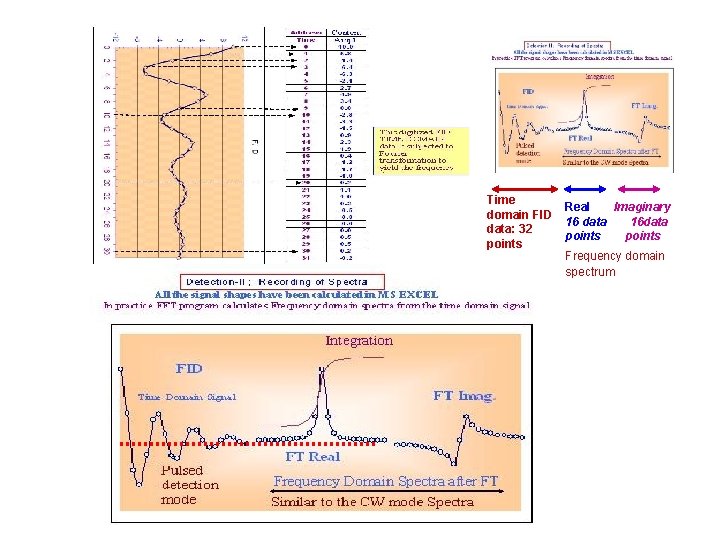 Time domain FID data: 32 points Real Imaginary 16 data 16 data points Frequency