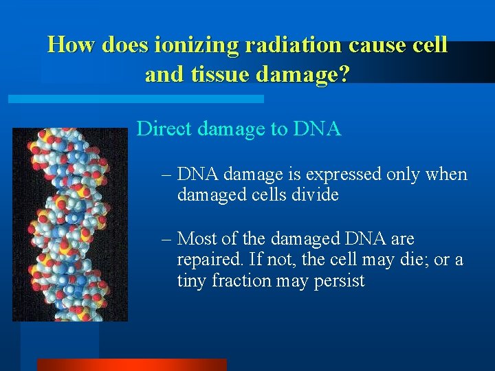 How does ionizing radiation cause cell and tissue damage? Direct damage to DNA –