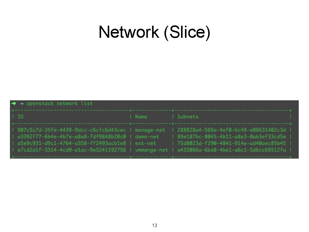 Network (Slice) 13 