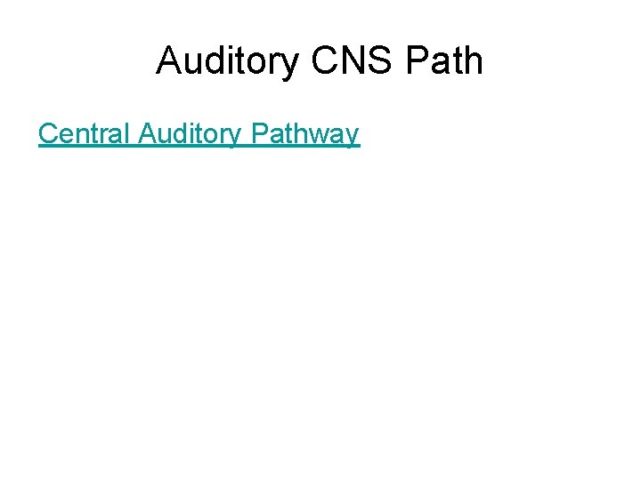 Auditory CNS Path Central Auditory Pathway 