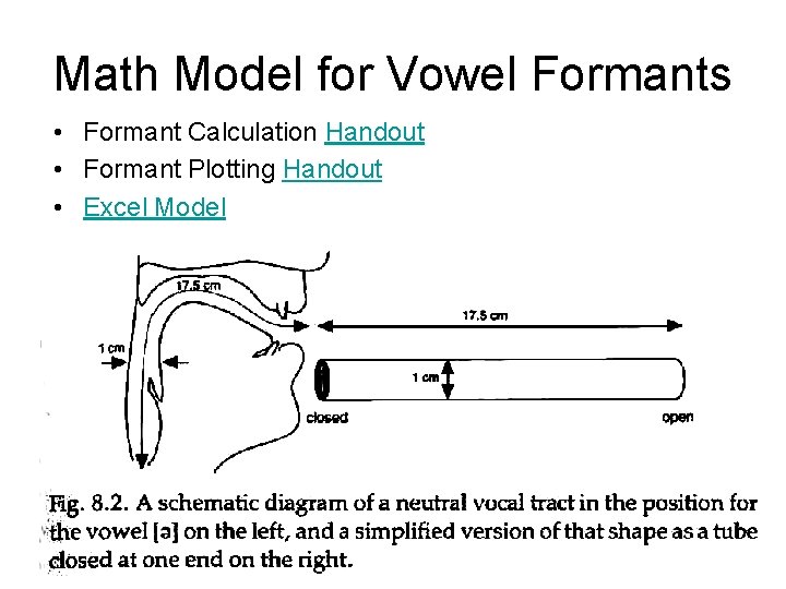 Math Model for Vowel Formants • Formant Calculation Handout • Formant Plotting Handout •